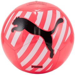 Futbolo kamuolys Puma Big Cat цена и информация | Футбольные мячи | pigu.lt