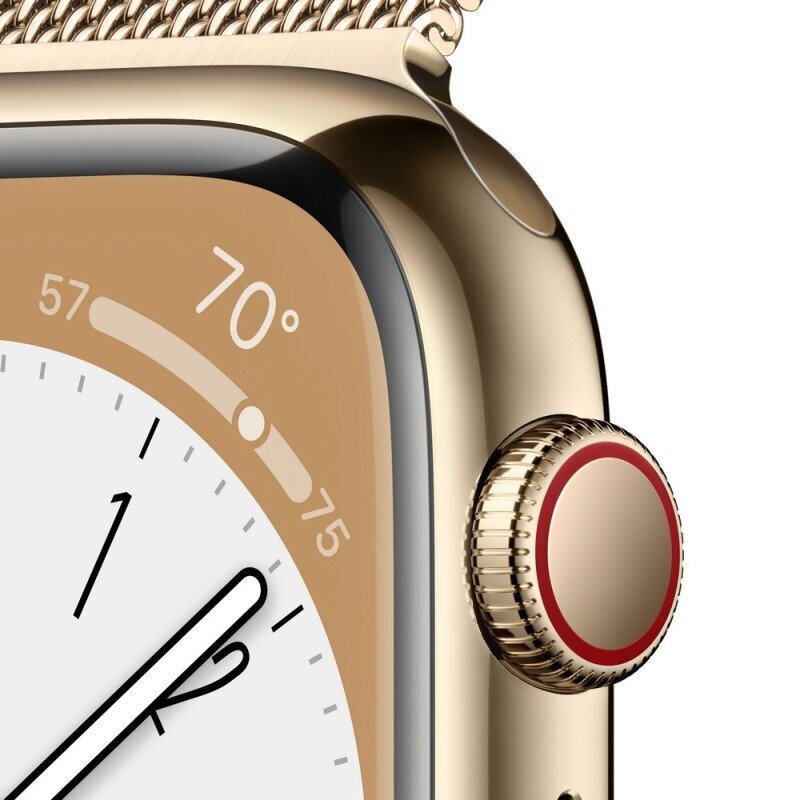 Prekė su pažeidimu. Apple Watch Series 8 GPS + Cellular 41mm Gold Stainless Steel Case ,Gold Milanese Loop MNJF3EL/A LV-EE kaina ir informacija | Prekės su pažeidimu | pigu.lt