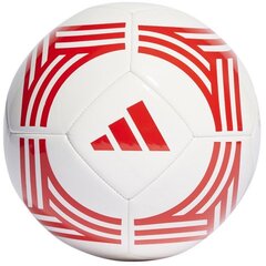 Futbolo kamuolys Adidas FC Bayern Club Home, 5 dydis цена и информация | Футбольные мячи | pigu.lt