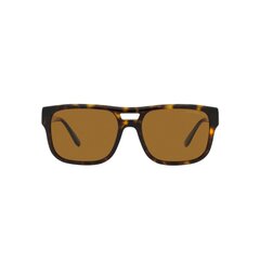 Vyriški akiniai nuo saulės Emporio Armani EA 4197 S7264972 kaina ir informacija | Akiniai nuo saulės vyrams | pigu.lt