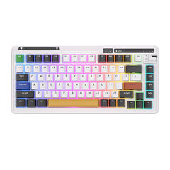 Mechanical keyboard Royal Kludge KZZI K75 pro RGB, Eternity Switch  (black and white) цена и информация | Клавиатуры | pigu.lt