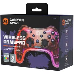 Canyon Brighter GPW-04 цена и информация | Canyon Игровые компьютеры и аксессуары | pigu.lt