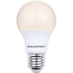 Blaupunkt LED лампа E27 A60 6W 2700K цена и информация | Электрические лампы | pigu.lt