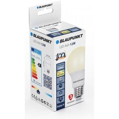 Blaupunkt LED лампа E27 A60 12W 2700K цена и информация | Электрические лампы | pigu.lt