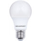 Blaupunkt LED lemputė E27 12W, natūrliai balta kaina ir informacija | Elektros lemputės | pigu.lt