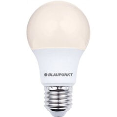 Blaupunkt LED лампа E27 A60 9W 2700K цена и информация | Электрические лампы | pigu.lt