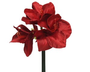 Dirbtinė Amarilio šaka цена и информация | Искусственные цветы | pigu.lt