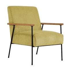 Fotelis Jade, 63x75,5x85,5cm, geltonas kaina ir informacija | Svetainės foteliai | pigu.lt