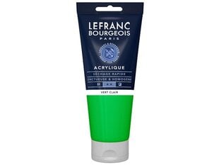 Akriliniai dažai LB Fine 200ml 556 light green kaina ir informacija | Piešimo, tapybos, lipdymo reikmenys | pigu.lt