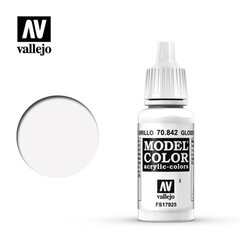 Korekcinė spalva White Gloss 17 Ml Model Color Vallejo 70842 kaina ir informacija | Kolekciniai modeliukai | pigu.lt