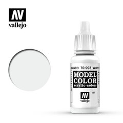 Korekcinė spalva White Grey 17 Ml Model Color Vallejo 70993 kaina ir informacija | Kolekciniai modeliukai | pigu.lt