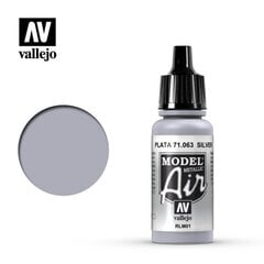 Silver RLM01 17 ml Model Air VALLEJO 71063 цена и информация | Коллекционные модели автомобилей | pigu.lt