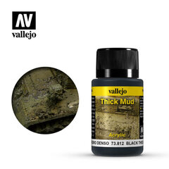 Korekcinė spalva Black Thick Mud 40 Ml Weathering Effects Vallejo 73812 kaina ir informacija | Kolekciniai modeliukai | pigu.lt