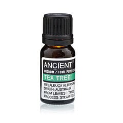 Eterinis arbatmedžio aliejus Ancient, 10 ml цена и информация | Эфирные, косметические масла, гидролаты | pigu.lt