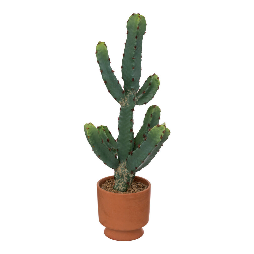 Dirbtinis kaktusas su Terakotos vazonu kaina ir informacija | Dirbtinės gėlės | pigu.lt