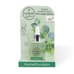 Ambar oro gaiviklis, 30 ml kaina ir informacija | Oro gaivikliai | pigu.lt