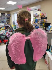 Розовые крылья с ободком и волшебной палочкой, 3 шт. цена и информация | Карнавальные костюмы | pigu.lt
