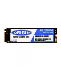 Origin Storage NB-1TB3DM.2/NVME цена и информация | Внутренние жёсткие диски (HDD, SSD, Hybrid) | pigu.lt