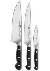 Zwilling peilis, 13.5 cm kaina ir informacija | Peiliai ir jų priedai | pigu.lt