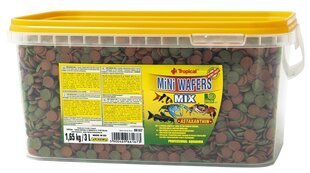 Pašaras dugninėms žuvims Mini Wafers Mix, 1,65 kg kaina ir informacija | Maistas žuvims | pigu.lt