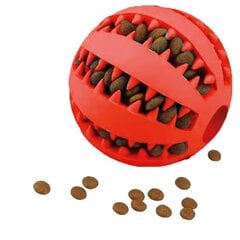 Šuns kramtomas žaislas Springos PA1056 kaina ir informacija | Žaislai šunims | pigu.lt