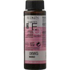 Перманентный крем-краска Redken EQ Gloss Nº 06WG (60 ml) цена и информация | Краска для волос | pigu.lt