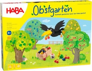 Obuolių sodo kauliukų žaidimas vaikams Haba kaina ir informacija | Lavinamieji žaislai | pigu.lt