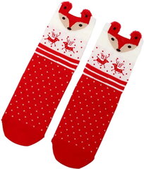 Kalėdinės kojinės moterims B1, raudonos kaina ir informacija | Moteriškos kojinės | pigu.lt