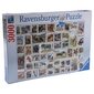 Dėlionė Ravensburger Gyvūnų antspaudai, 3000 d. kaina ir informacija | Dėlionės (puzzle) | pigu.lt