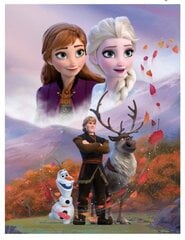 Плед Disney Frozen 130x170cm цена и информация | Покрывала, пледы | pigu.lt