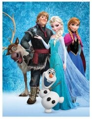 Плед Disney Frozen 130x170cm цена и информация | Покрывала, пледы | pigu.lt