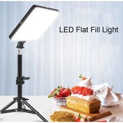 10-дюймовая светодиодная лампа вместе с подставкой цена и информация | Осветительное оборудование для фотосъемки | pigu.lt