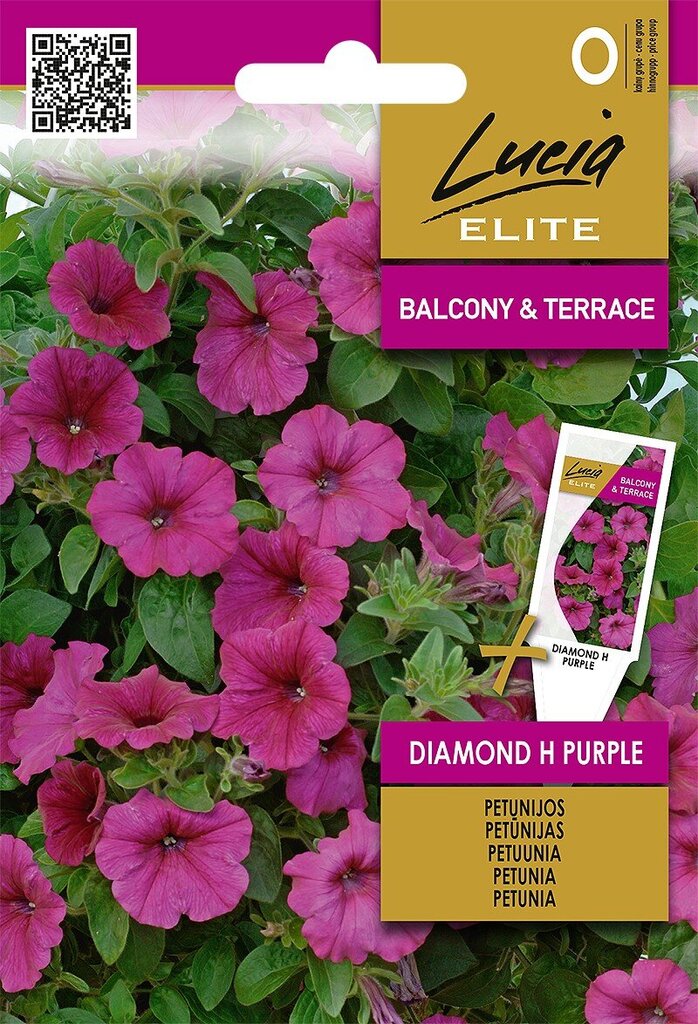 Petunijоs-surfinijоs Diamond H Purple Lucia Elite kaina ir informacija | Gėlių sėklos | pigu.lt