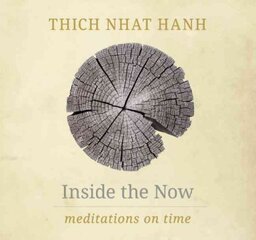 Inside the Now: Meditations on Time Special edition kaina ir informacija | Dvasinės knygos | pigu.lt