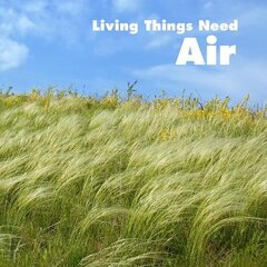 Living Things Need Air kaina ir informacija | Knygos paaugliams ir jaunimui | pigu.lt