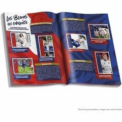 Lipdukų rinkinys France Rugby Panini, 18 vnt. цена и информация | Игрушки для мальчиков | pigu.lt