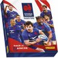 Lipdukų rinkinys France Rugby Panini, 18 vnt. цена и информация | Žaislai berniukams | pigu.lt