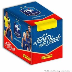Lipdukų pakuotė Panini France Football цена и информация | Развивающие игрушки | pigu.lt