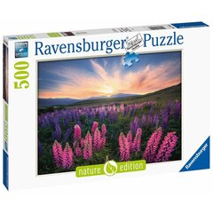 Пазл Ravensburger Люпины, 500 дет. цена и информация | Пазлы | pigu.lt