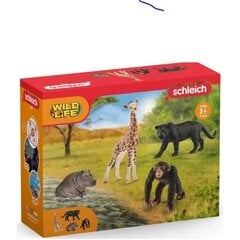Laukinių gyvūnų rinkinys Schleich Wild Life цена и информация | Игрушки для девочек | pigu.lt