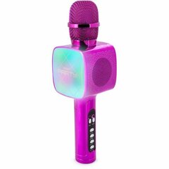 Vaikiškas karaokė mikrofonas BigBen Party kaina ir informacija | Lavinamieji žaislai | pigu.lt