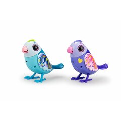 Muzikinis žaislas Bizak Digibirds цена и информация | Развивающие игрушки | pigu.lt