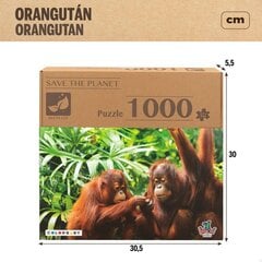 Dėlionė Colorbaby Orangutanai, 1000 d. kaina ir informacija | Dėlionės (puzzle) | pigu.lt