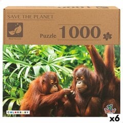 Dėlionė Colorbaby Orangutanai, 1000 d. цена и информация | Пазлы | pigu.lt