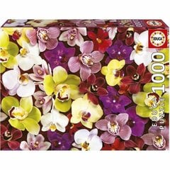 Dėlionė Educa Orchidėja, 1000 dal. kaina ir informacija | Dėlionės (puzzle) | pigu.lt