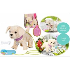 Interaktyvus šuniukas Baby Born My Lucky Dog, 30 cm kaina ir informacija | Žaislai mergaitėms | pigu.lt