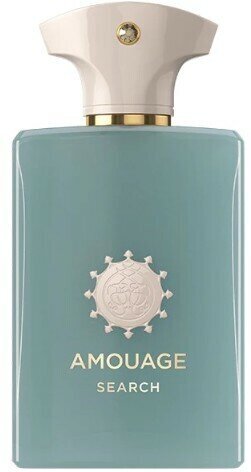 Kvapusis vanduo Amouage Search EDP moterims/vyrams, 100 ml цена и информация | Kvepalai moterims | pigu.lt