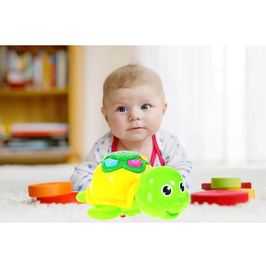 Vėžlys su garsu, projektorius kaina ir informacija | Žaislai kūdikiams | pigu.lt