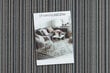 Rugsx kilimas Carnaby 67x910 cm kaina ir informacija | Kilimai | pigu.lt