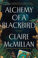 Alchemy of a Blackbird: A Novel kaina ir informacija | Fantastinės, mistinės knygos | pigu.lt